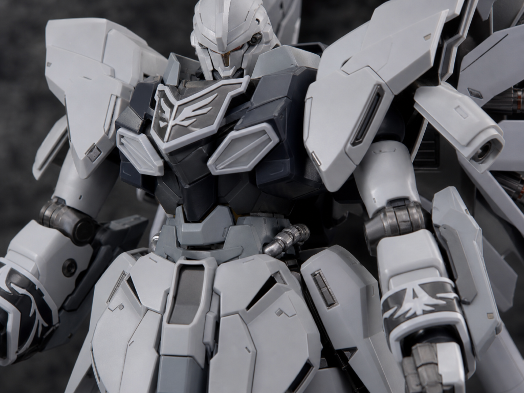 HG 1/144 Sinanju Stein